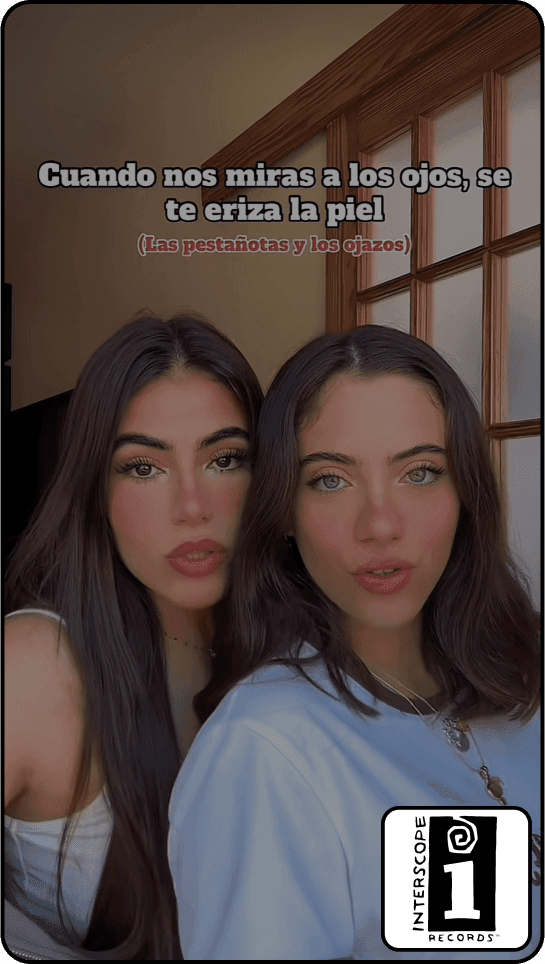 TikTok collaboration example 2